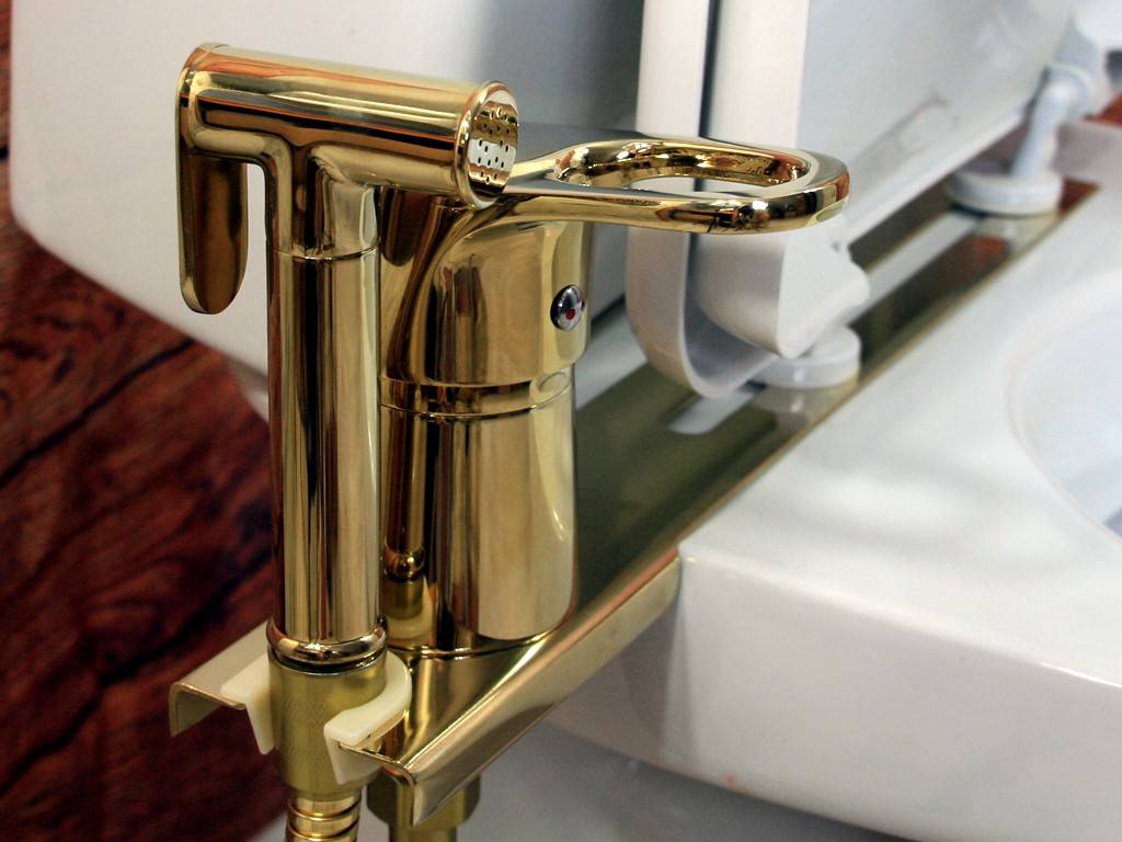 WC-Bidetabdeckung: Funktionen elektronischer Modelle, Fernbedienung der Bidetabdeckung, Unterschiede zwischen Wasserhahnaufsätzen und Sitzen