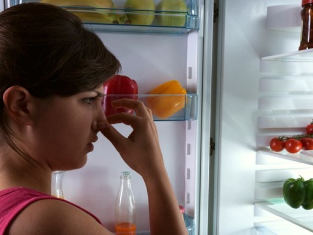 Der Geruch im Kühlschrank: Wie wird man ihn schnell wieder los?