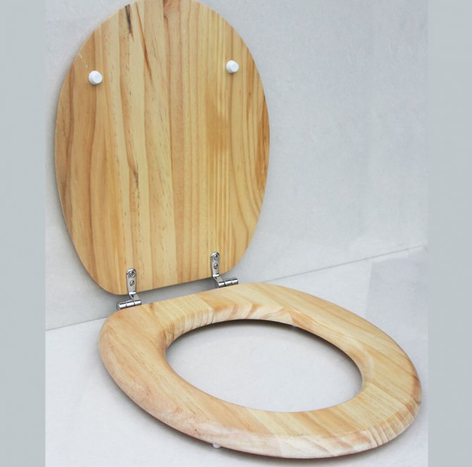 Toilettensitz - wie man Größe, Herstellungsmaterial, Design und Kosten wählt