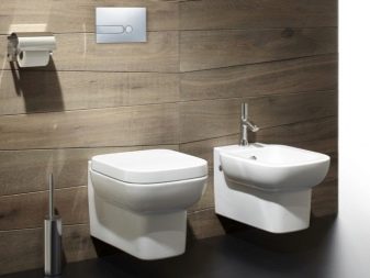 So wählen Sie eine Hängetoilette aus: Was ist besser und warum + Herstellerübersicht