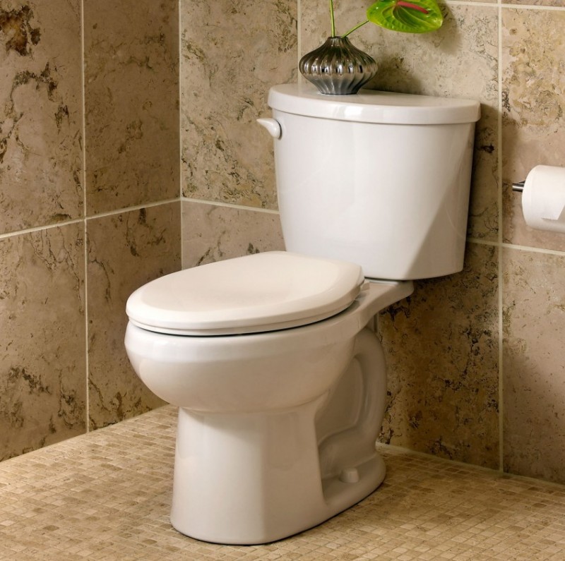 Toiletsædesæde: typer, udvælgelsesregler og installationsfunktioner