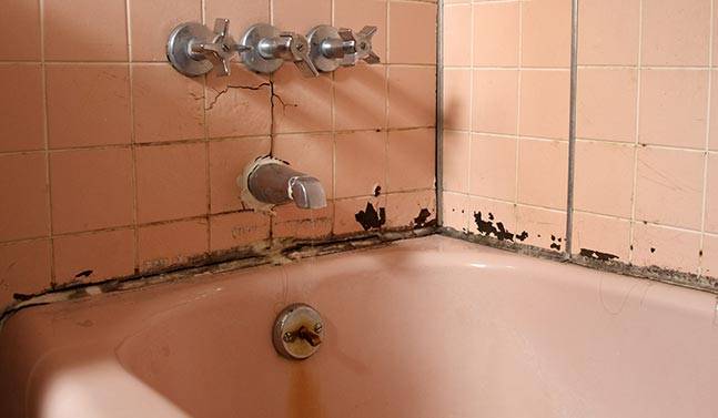 Sådan slipper du af med skimmelsvamp i badeværelset: effektive måder