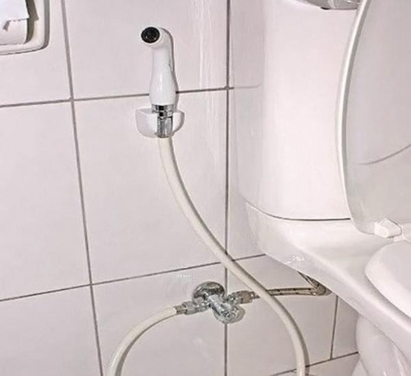 Toilet bidet låg: typer, beskrivelse af princippet om drift og tips til valg