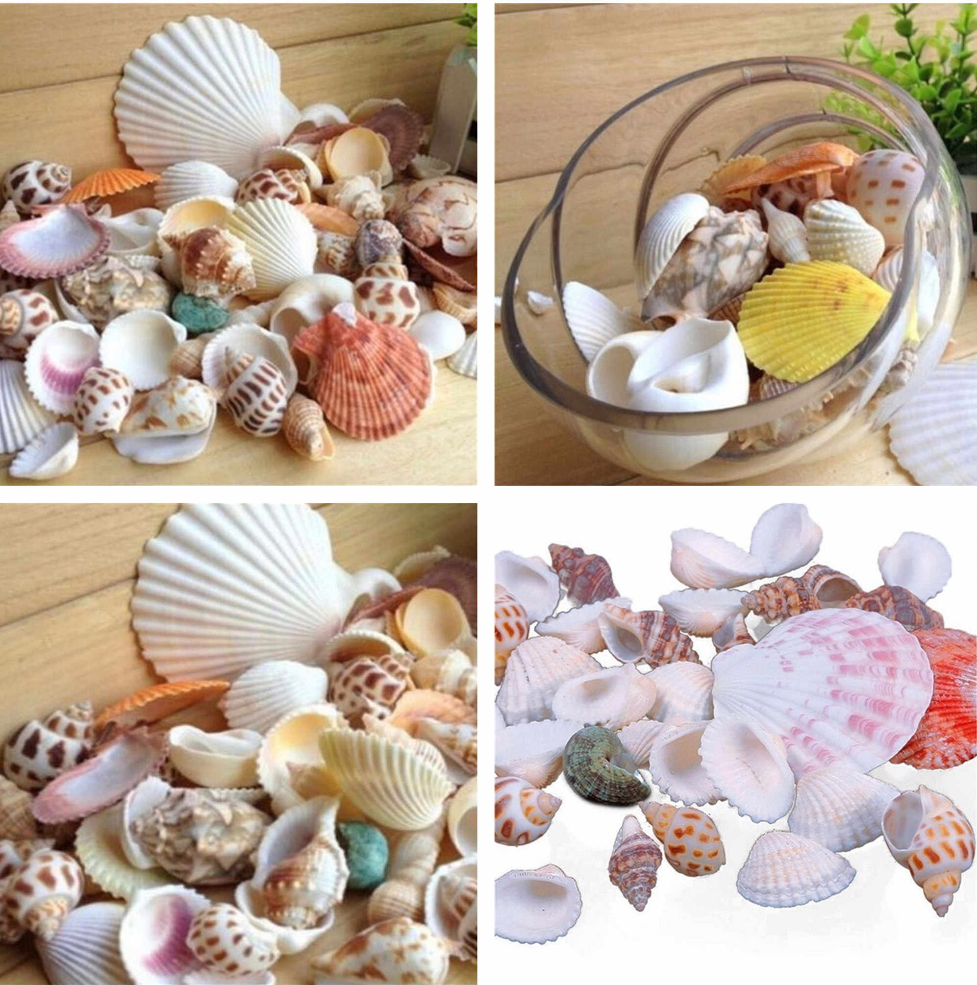 Basteln aus Muscheln - 100 Fotos der besten Ideen und Tipps zum Basteln
