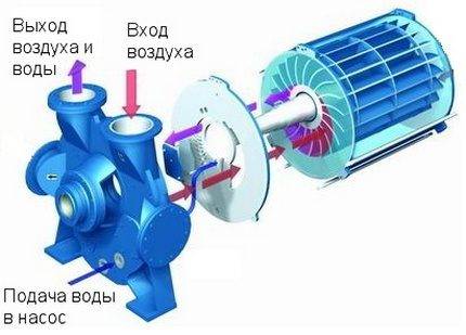 Pumpen zur Erhöhung des Wasserdrucks: Funktionsprinzip und beliebte Modelle