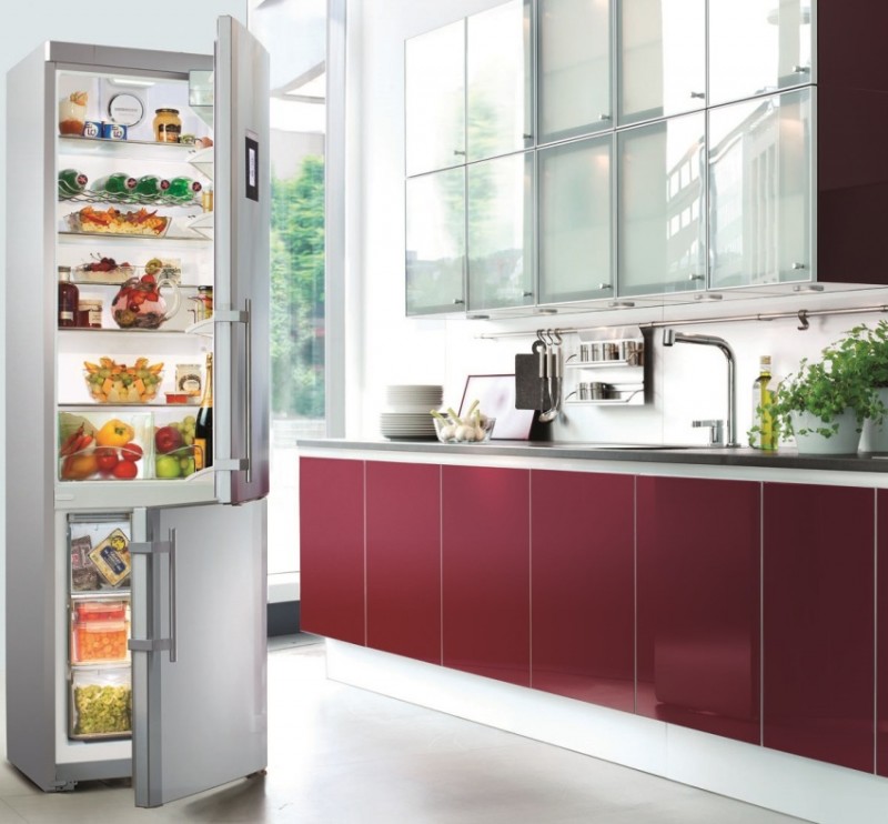 Anmeldelse af SMEG køleskabe: analyse af sortiment, anmeldelser + top 5 af de bedste modeller på markedet