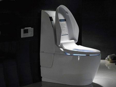 Elektronische Toilette: Gerät, Typen + Überprüfung der besten Modelle auf dem Markt