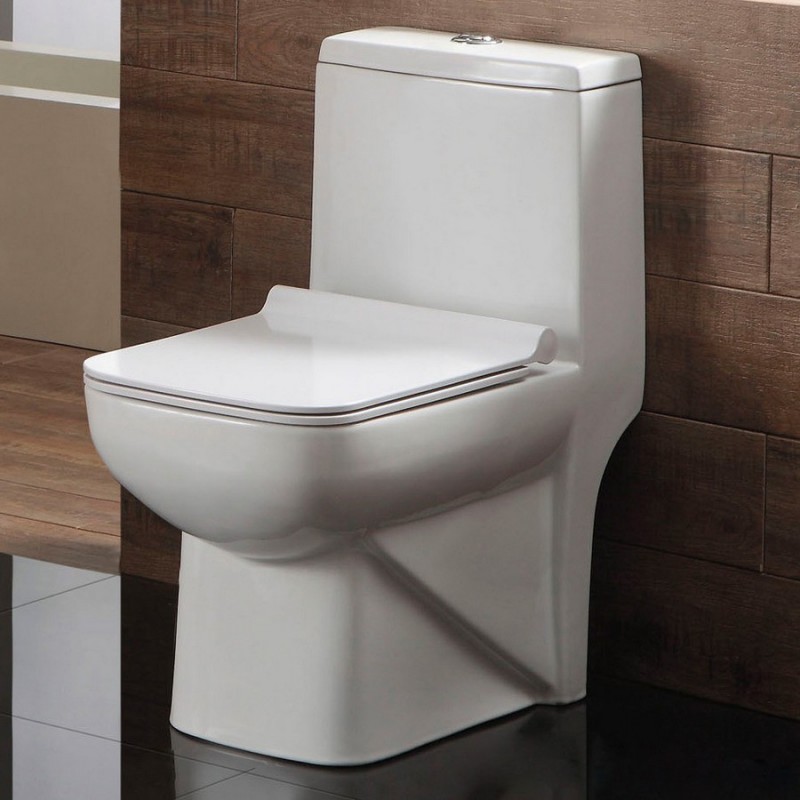 Sådan vælger du en god toiletskål: en oversigt over designvarianter + tips til valg