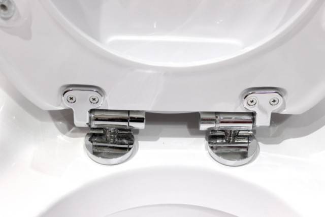 Mikroheber für die Reparatur des Toilettendeckels zum Selbermachen: So reparieren oder ersetzen Sie Geräte