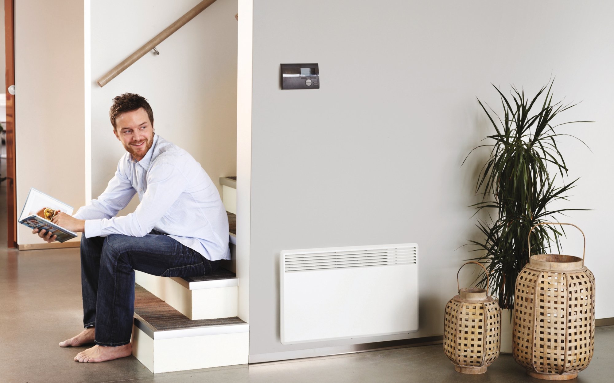So wählen Sie eine Heizung für ein Haus und eine Wohnung: Welche ist besser, Typen, Tipps