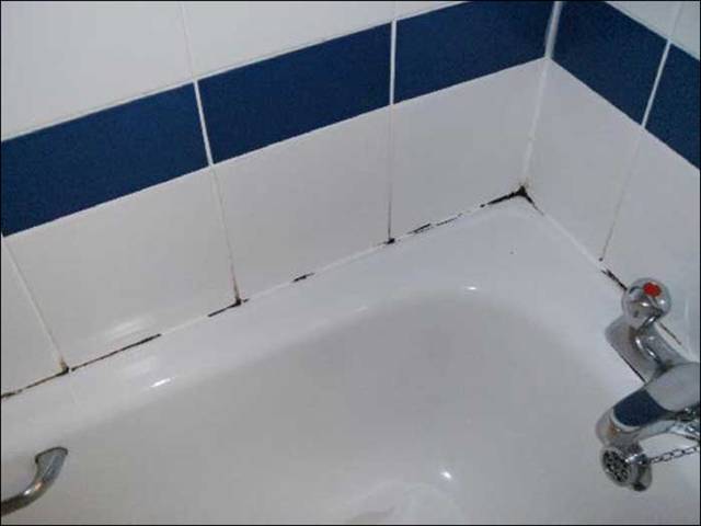 Was ist gefährlicher schwarzer Schimmel im Haus für den menschlichen Körper und wie wird man ihn los?