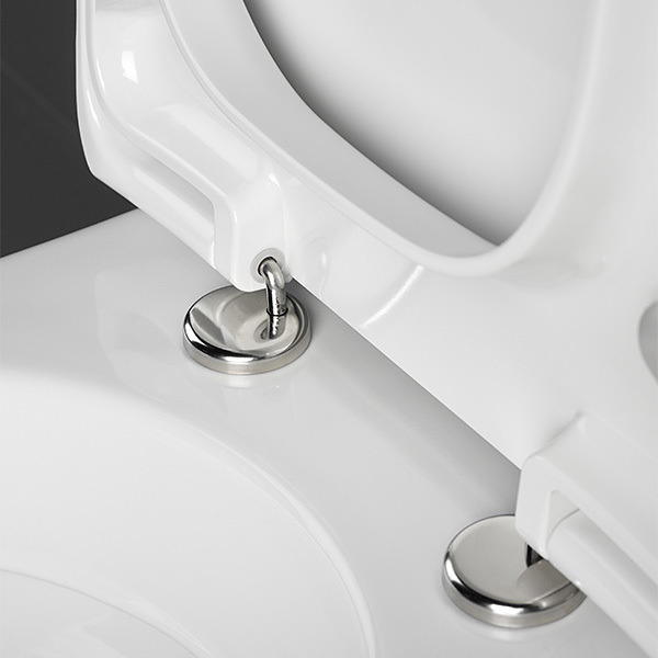 Installieren Sie einen Toilettendeckel mit Ihren eigenen Händen, wie Sie den richtigen Deckel auswählen