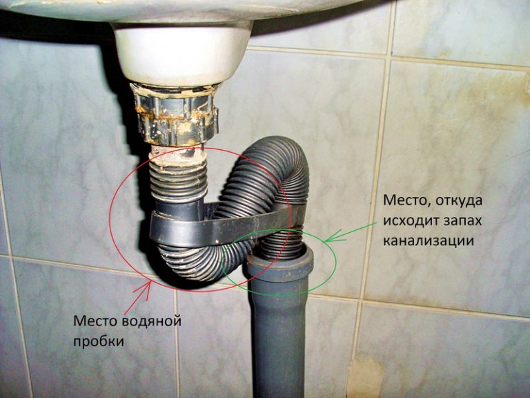 Die Duschkabine riecht nach Abwasser, was tun und warum stinkt es in der Dusche?