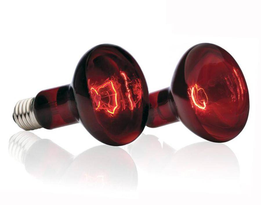 LED-Lampen für zu Hause: Was ist besser, Auswahl, Bewertung
