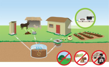 Sådan får du biogas fra gylle: en oversigt over de grundlæggende principper og udformningen af et biogasanlæg