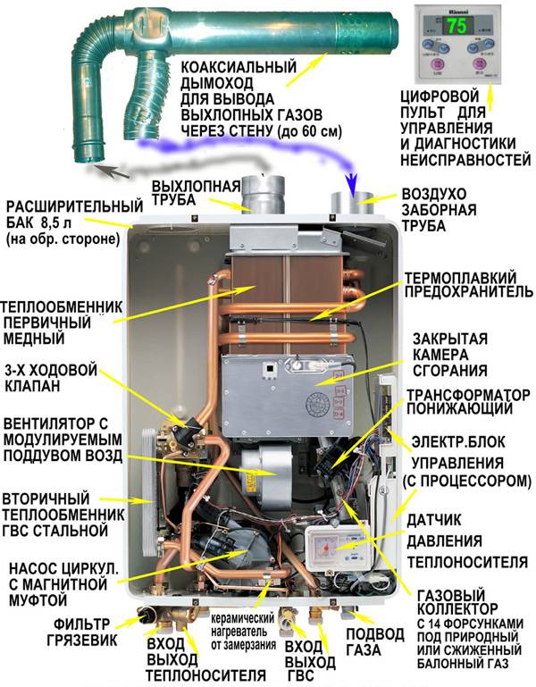 Do-it-yourself-Reparatur von Geysiren "Vektorluxus": Ein Überblick über typische Pannen und ihre Lösungen