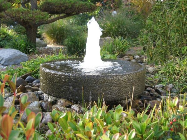 Pumpe für einen Kapitalbrunnen: Auswahl der Einheit + kurzes Schulungsprogramm zur Installation