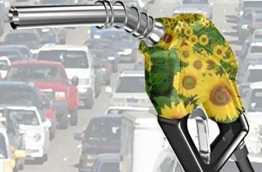 Biobrændstoffer: sammenligning af faste, flydende og gasformige brændstoffer