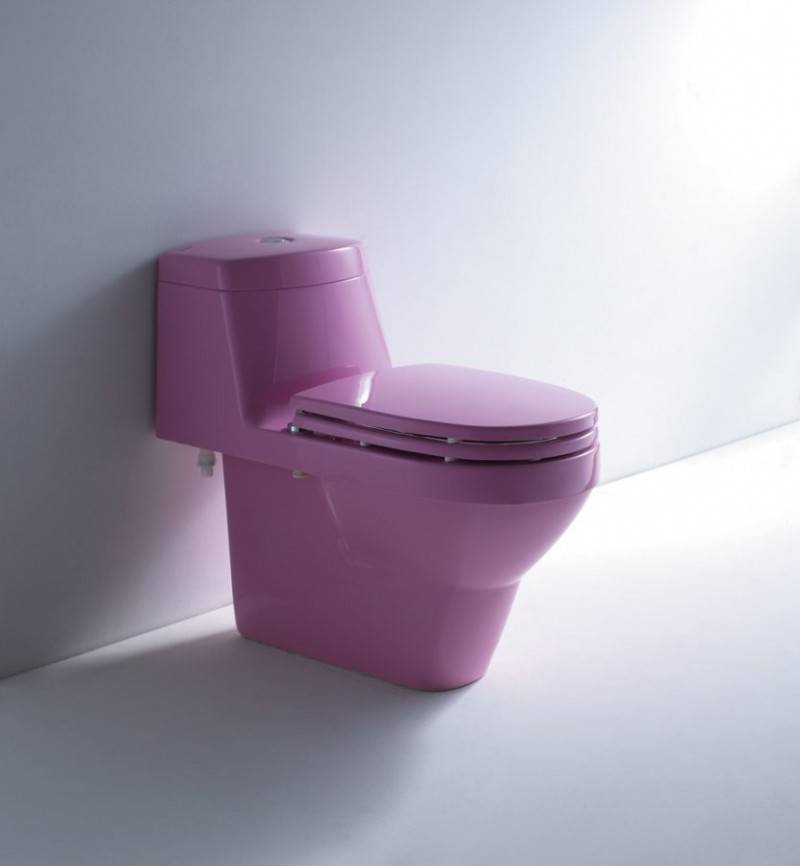 Toilet monoblok: enhed, fordele og ulemper, hvordan man vælger den rigtige