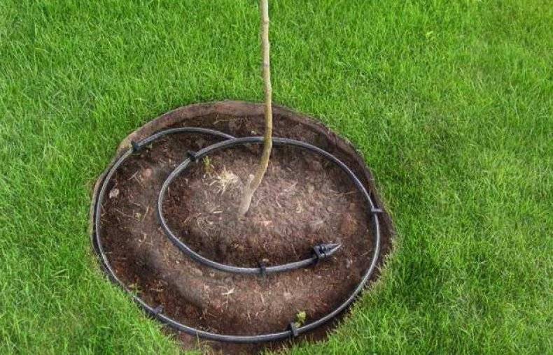 DIY Tropfbewässerungssystem – Schritt für Schritt Anleitung!