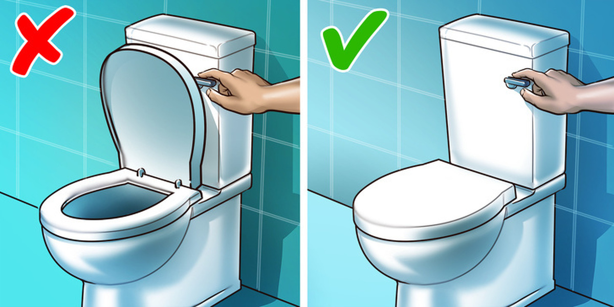 Warum Sie den Toilettendeckel nicht offen halten können: rationale Gründe und Anzeichen
