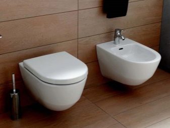 So wählen Sie eine Hängetoilette aus: Was ist besser und warum + Herstellerübersicht
