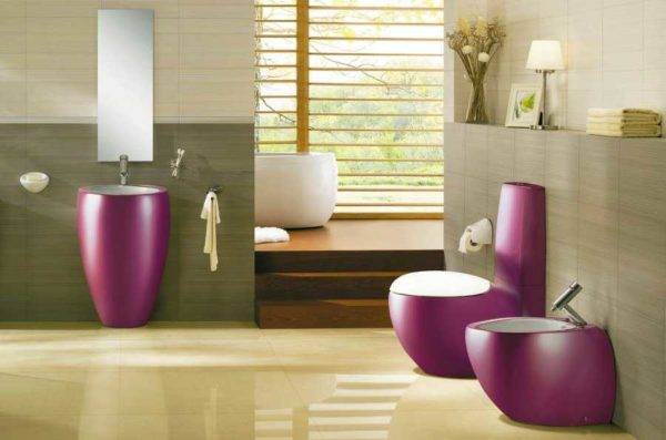 Arten von Toilettenschüsseln nach technischen Eigenschaften und Design