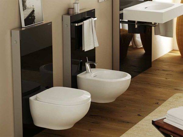 Arten von Toilettenschüsseln nach technischen Eigenschaften und Design