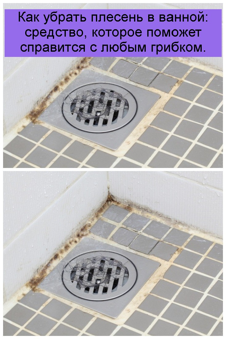 Schwarzschimmel im Badezimmer: So werden Sie den Pilz los + wirksame Mittel zur Bekämpfung und Vorbeugung