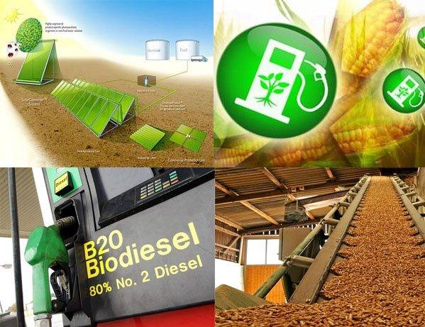 Do-it-yourself-Biogasanlage für ein Privathaus