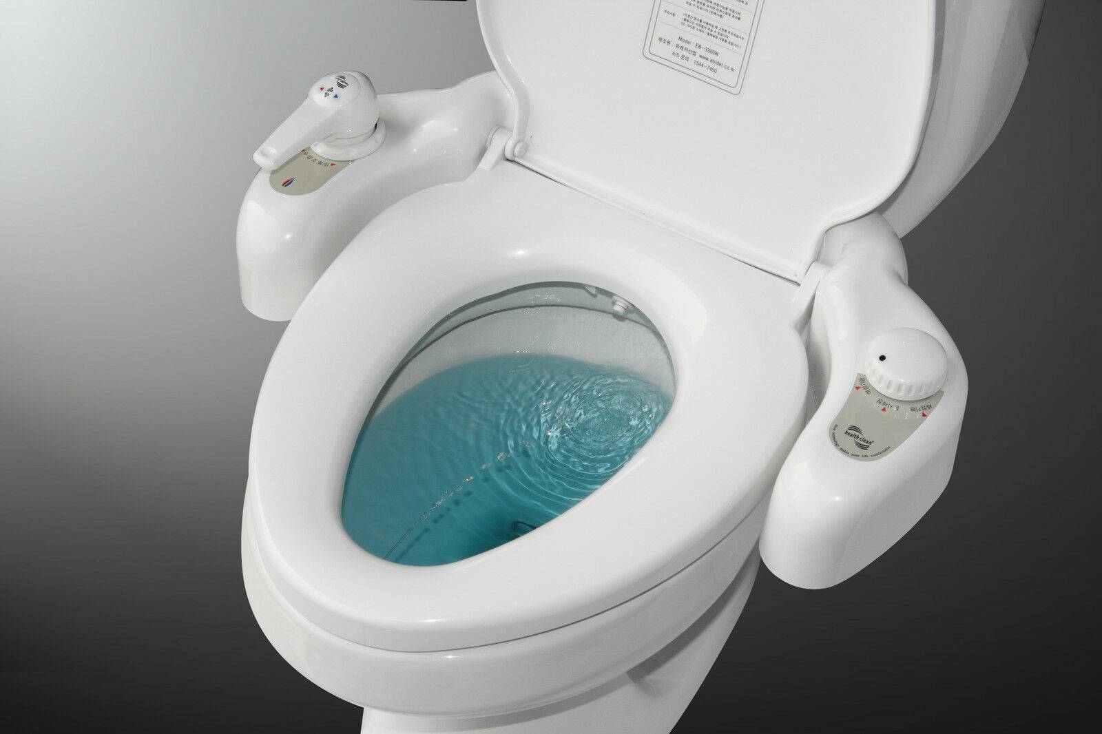 Elektronische Bidet-Toilettenabdeckung: Tipps zur Auswahl