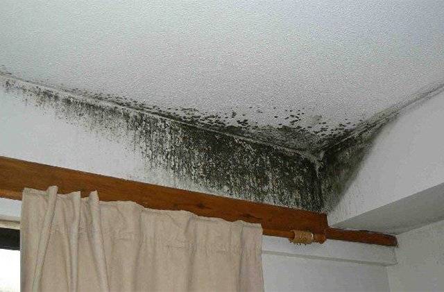 Hvad skal man gøre, hvis ventilationen i lejligheden og huset ikke fungerer? En oversigt over mulige årsager og løsninger
