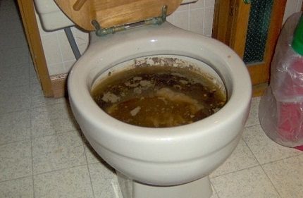So reinigen Sie die Toilettenschüssel zu Hause: 25 chemische und Volksheilmittel