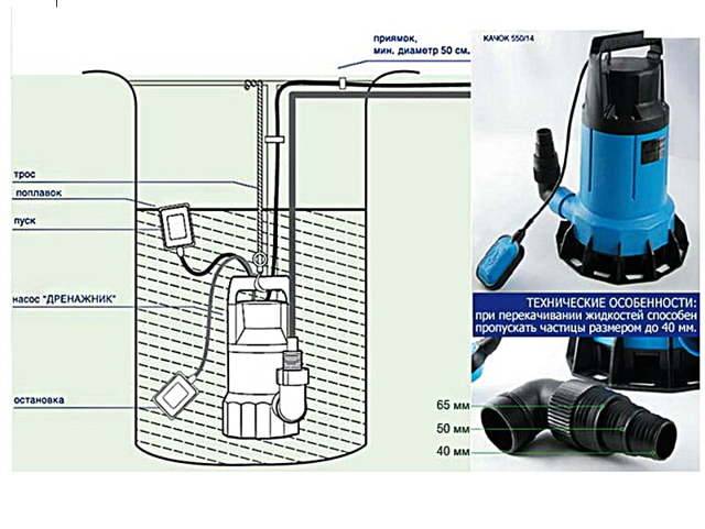 Entwässerungspumpen für Wasser: Typen, Gerät, Funktionsweise, beste Modelle
