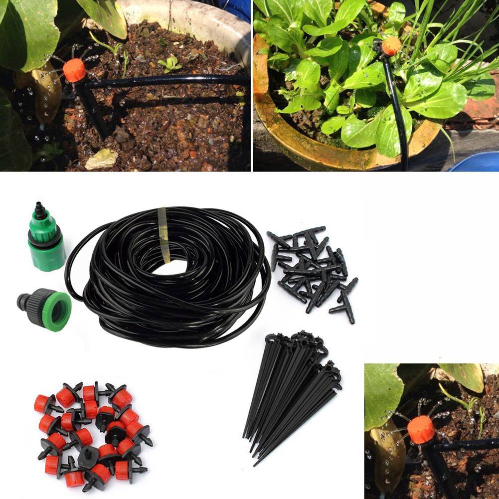 So wählen Sie eine Gartenpumpe aus: Wir verraten die Frage
