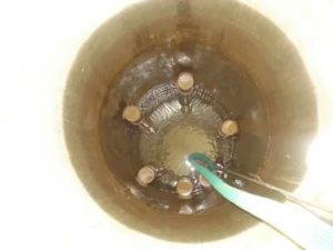 Warum ist trübes oder gelbes Wasser im Brunnen: Ursachen und Reinigungsmethoden