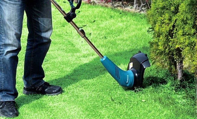 Elektrischer Rasentrimmer – für welchen soll man sich 2019-2020 entscheiden? Bewertung der besten Modelle